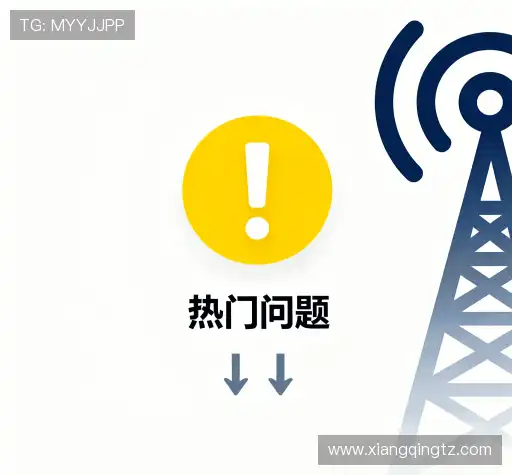 操作指导
